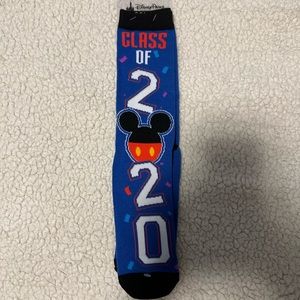 Disney Class of 2020 socks